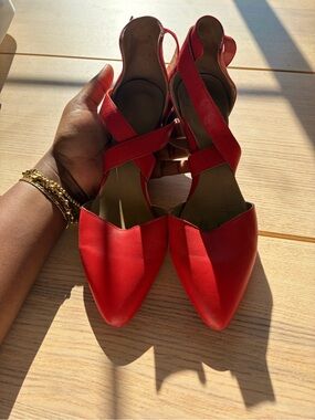 Poppy Barley Red Pointed-Toe Crisscross Heels